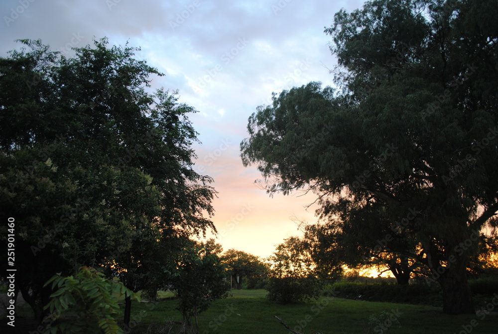 atardecer atardecer