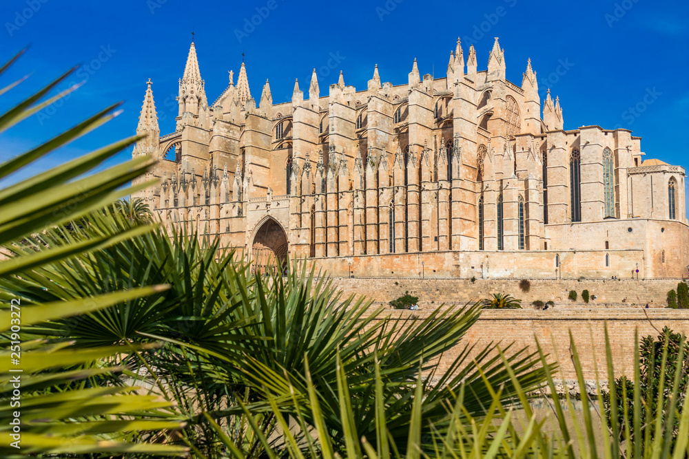 Palma Cathedral La Seu, Palma de Mallorca, Mallorca, Balearic Islands, Spain