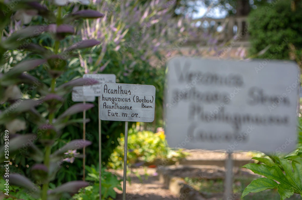 Beautiful metallic handwritten signposts with plant latin names in botanic garden
