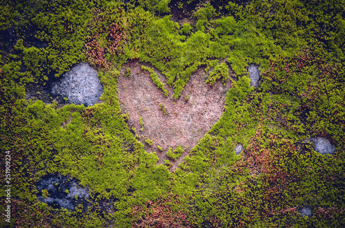 Engraved heart shaped sign on a stone, covered by moss and musk around in a public park