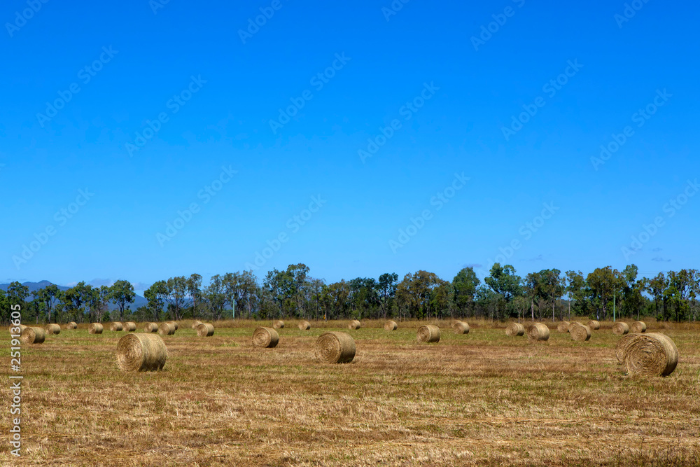Hay bales and trees on the Atherton Tableland in Tropical North Queensland, Australia Hay bales and trees on the Atherton Tableland in Tropical North Queensland, Australia