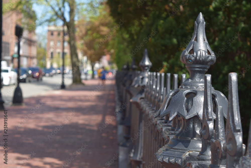 Fototapeta premium Park Fenece