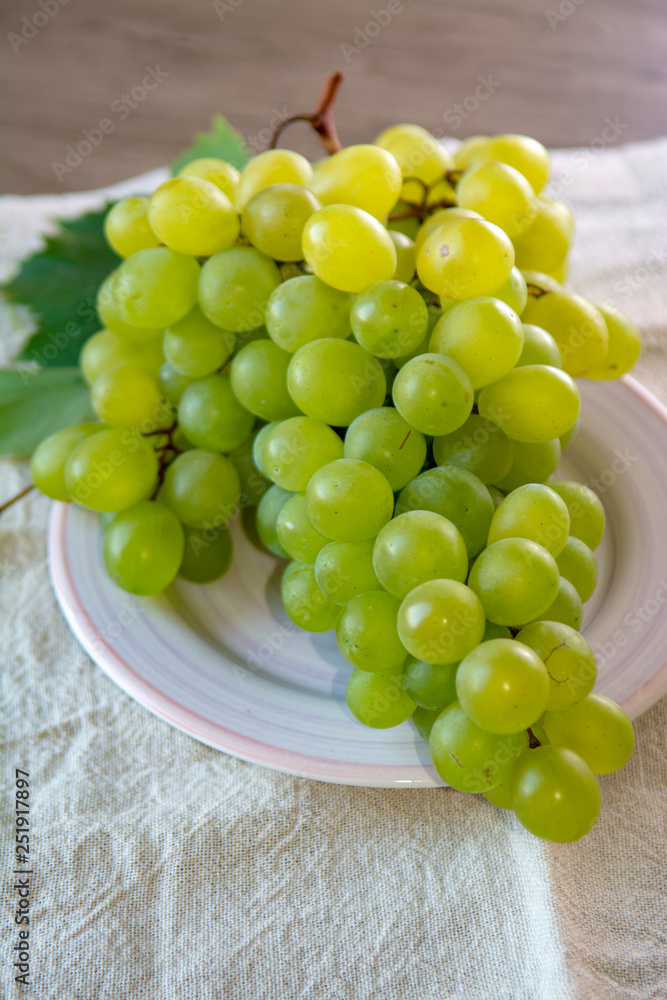 Ripe organic vine of white table seadless grape from Italy, new harvest Ripe organic vine of white table seadless grape from Italy, new harvest