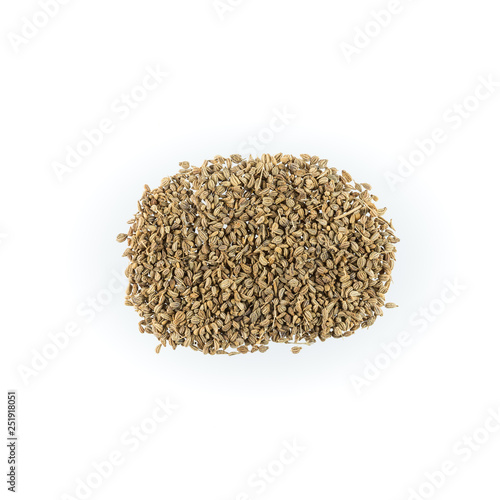 Dried Herbs,ajowan,Trachyspermum ammi (L.) Sprague,Carum copticum Bentham et Hooker filius, Trachyspermum copticum (L.) Link, Sison ammi L.,Umbelliferae