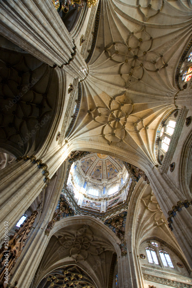 Interior Catedral,Salamanca,Castilla-Leon,Spain