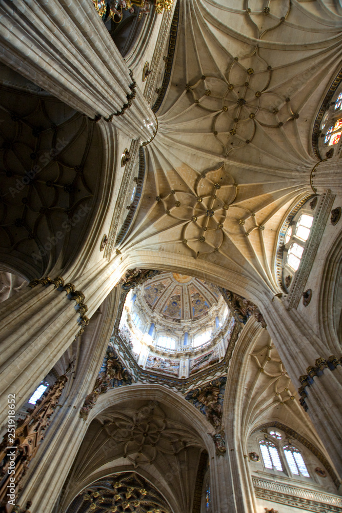Obraz premium Interior Catedral,Salamanca,Castilla-Leon,Spain
