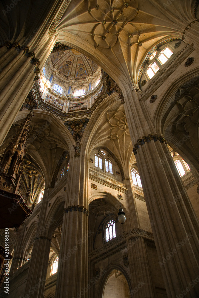 Interior Catedral,Salamanca,Castilla-Leon,Spain