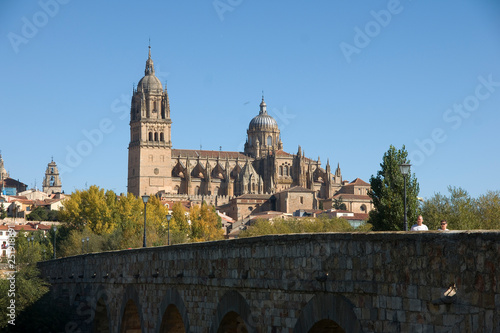 Puente Romano,Catedral,Salamanca,Castilla-Leon,Spain