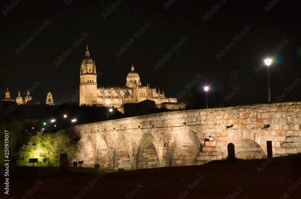 Puente romano,catedral,Salamanca,Castilla-Leon,Spain