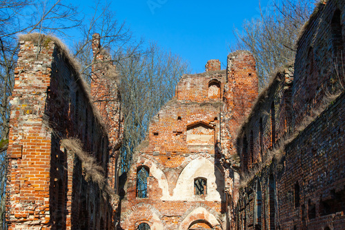 Photography ruins of medieval Prussian castle of Balga belonging to the Knights of the Teuto