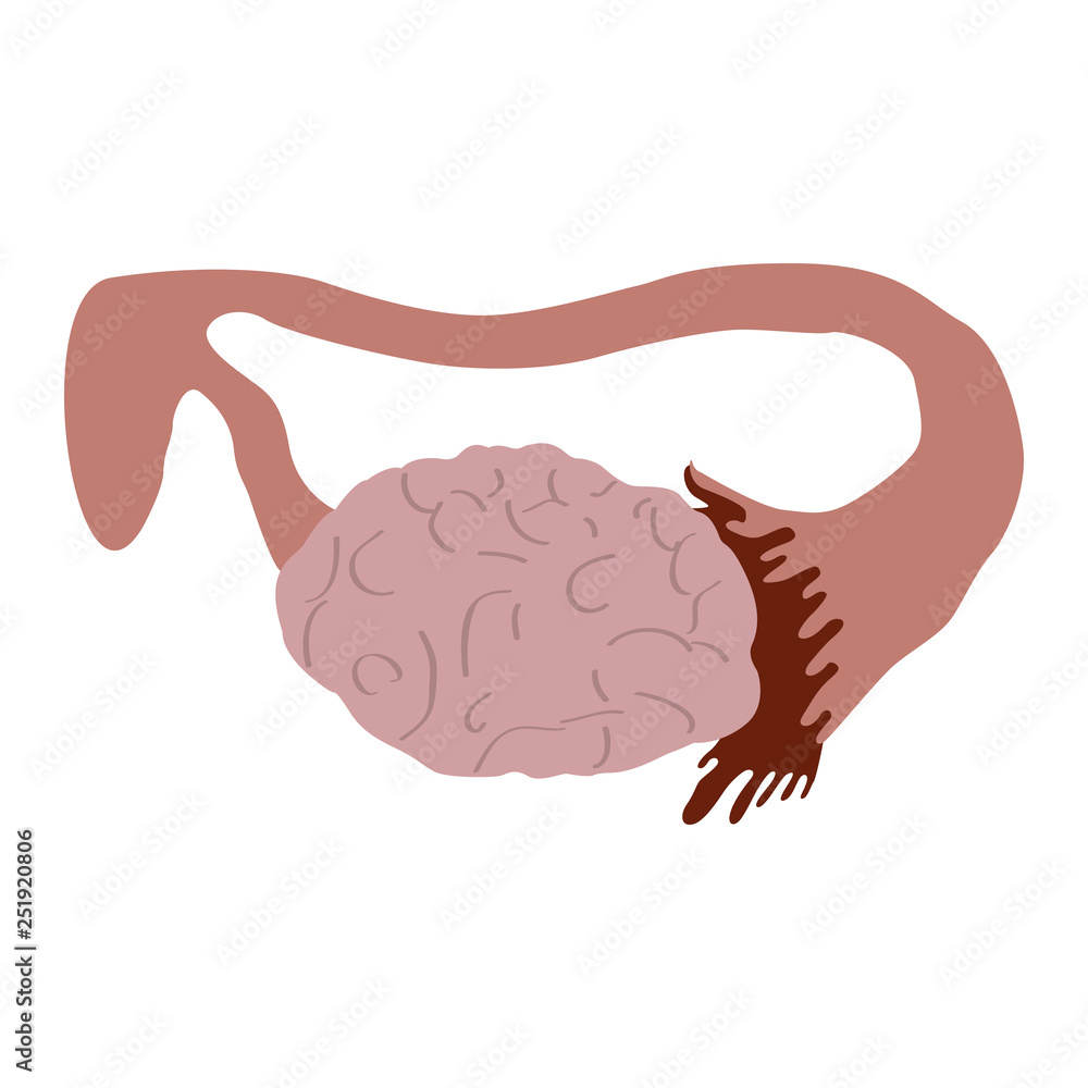 Isolated human ovary image. Vector illustration design Isolated human ovary image. Vector illustration design