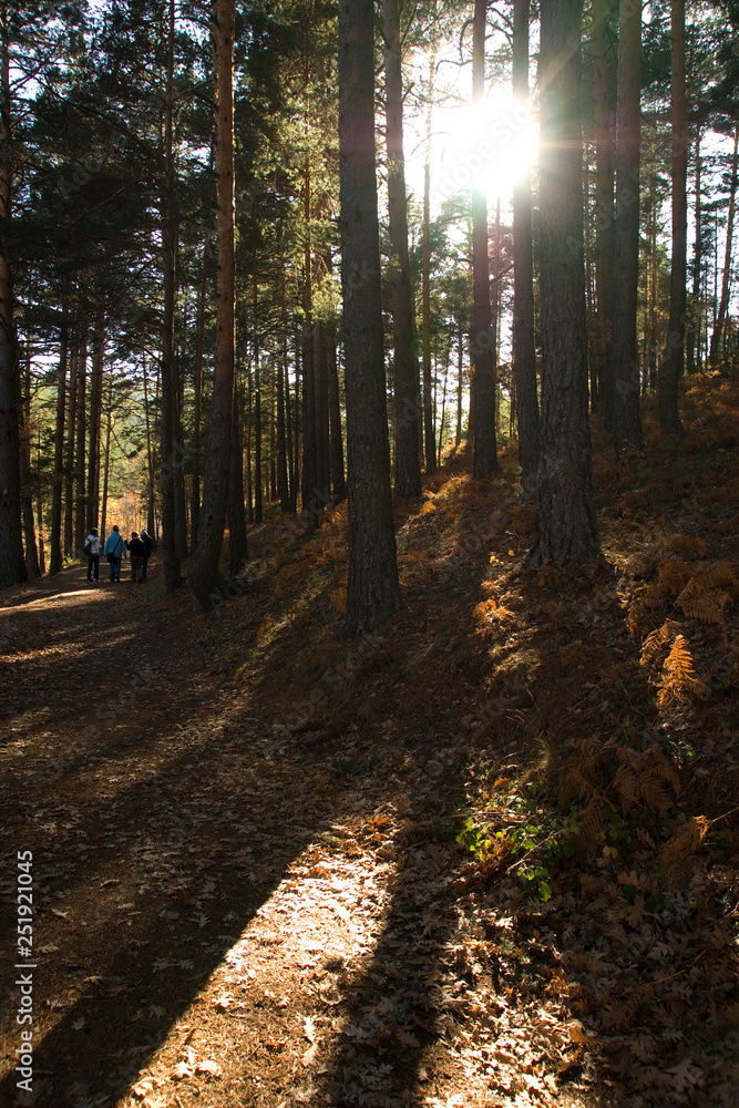 Fototapeta premium SONY DSC
