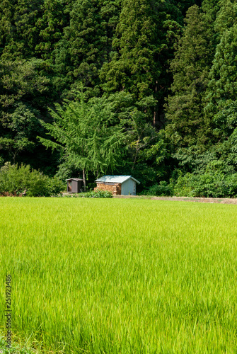 田んぼと小屋のある田舎の風景 © Metro Hopper