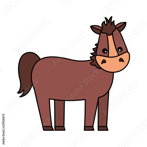 horse farm animal