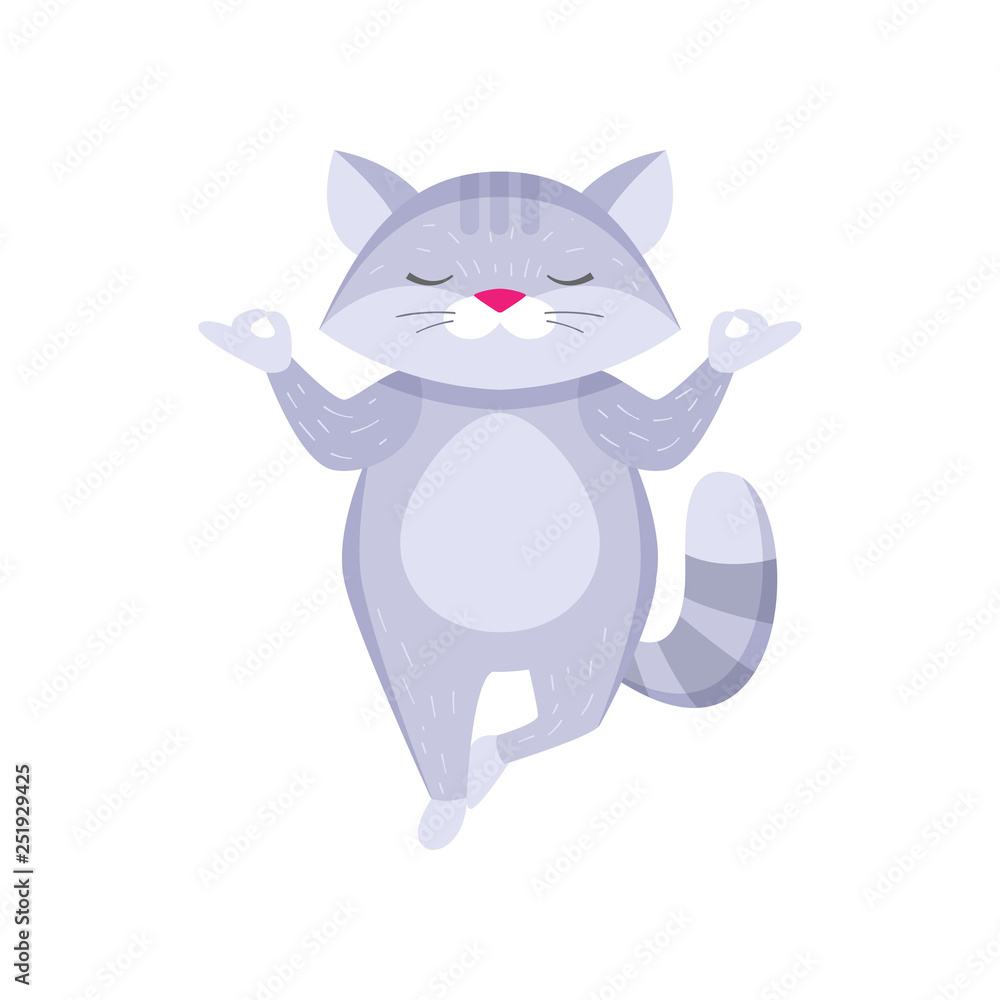 Obraz premium Cute raccoon standing on one leg in zen position and meditating isolated on white background