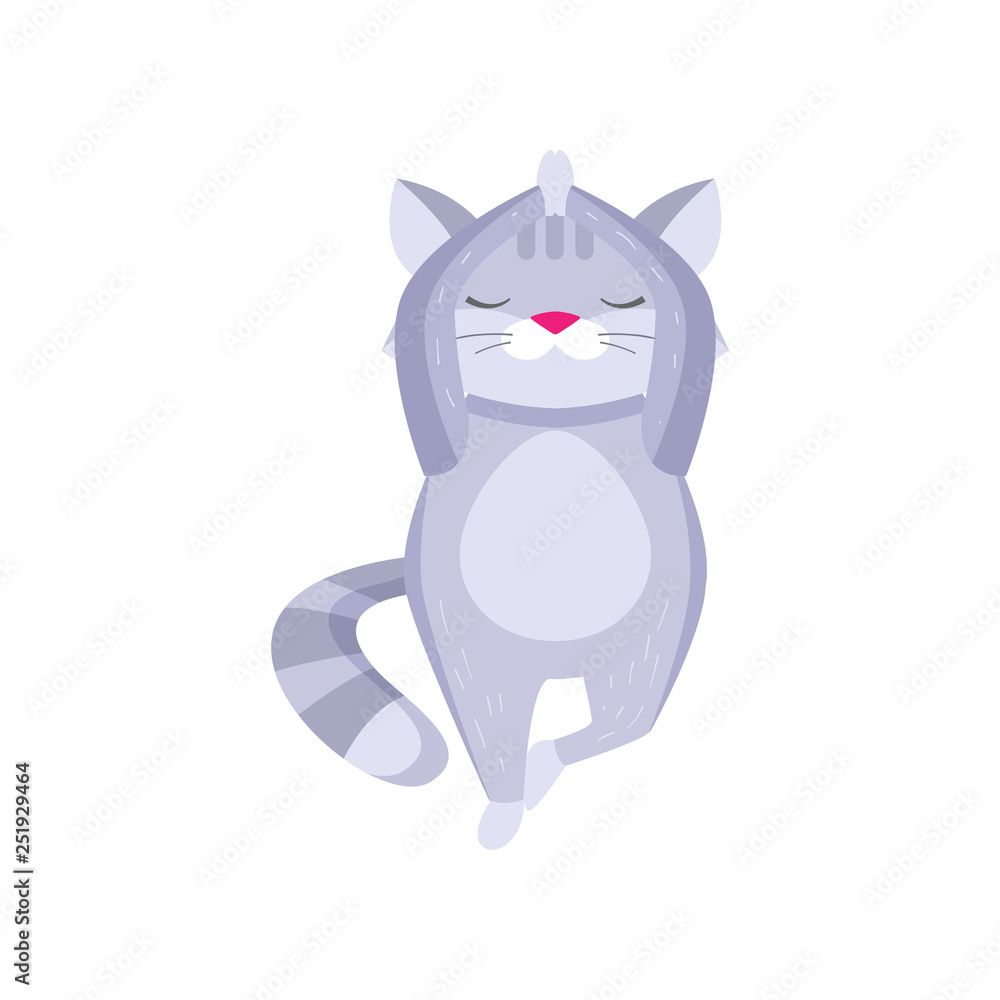 Cute raccoon standing with arms above head and on one leg and meditating isolated on white background Cute raccoon standing with arms above head and on one leg and meditating isolated on white background