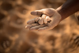 hand holding pebbles to play a tradional Namibian game
