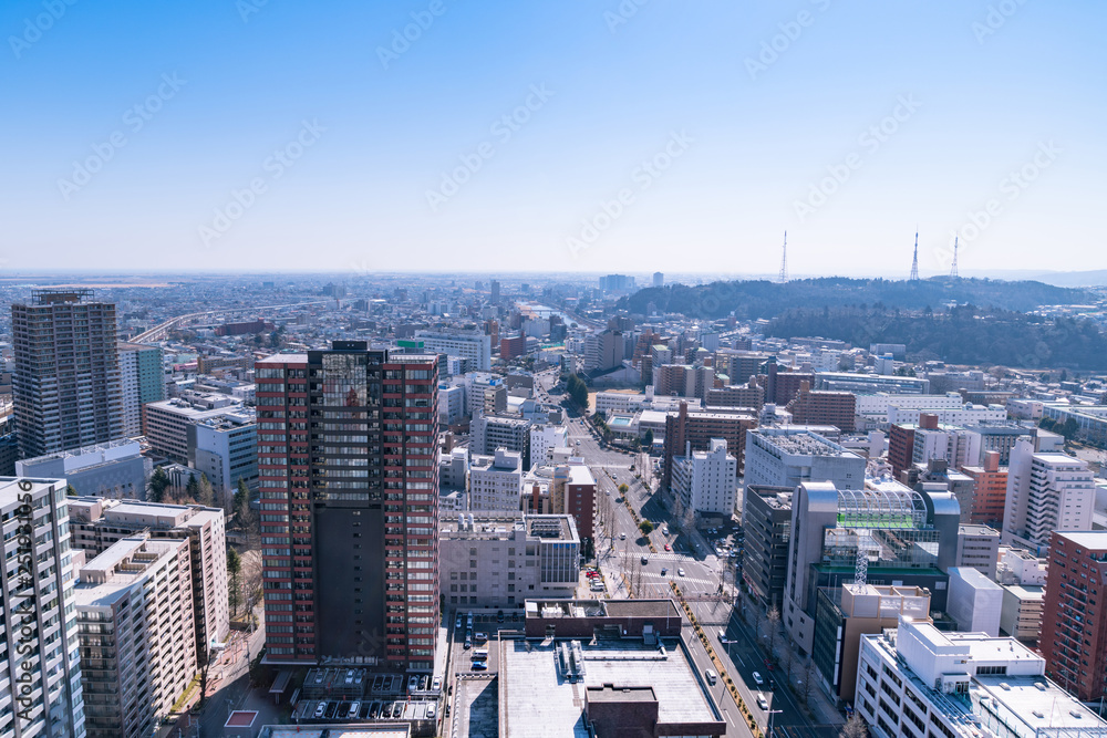 Fototapeta premium 宮城仙台の冬の都市風景