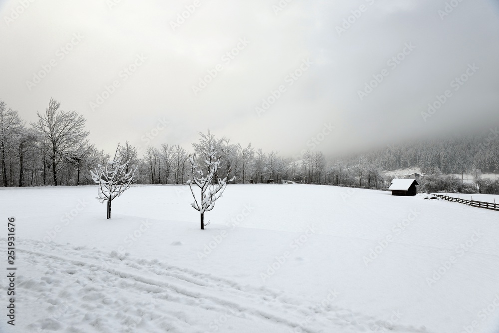 Milders, January 2014, snowing, winter in the Stubai Valley in Austria, the federal state Tyrol. Milders, January 2014, snowing, winter in the Stubai Valley in Austria, the federal state Tyrol.