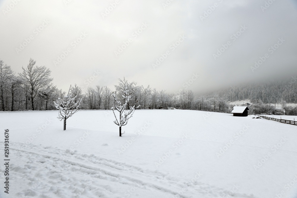 Milders, January 2014, snowing, winter in the Stubai Valley in Austria, the federal state Tyrol.