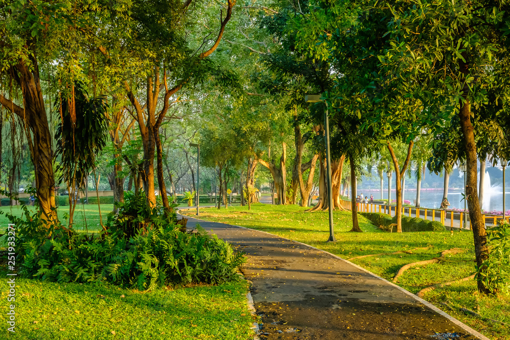 Green nature and bike path