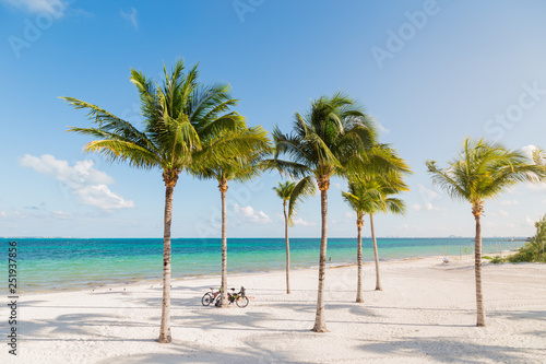 White sand beach in Cancun, Mexico, with palm trees with bicyles leaning up against them.