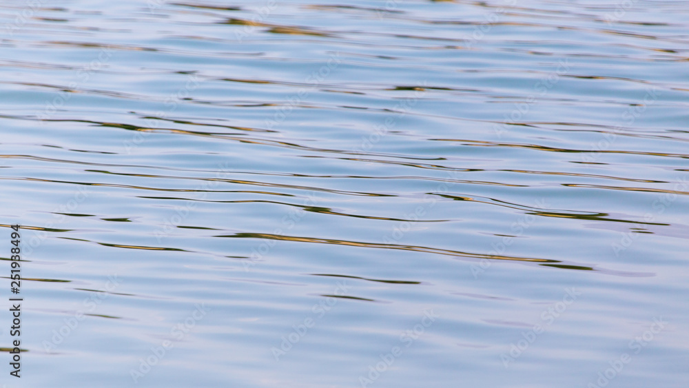Surface on the pond as a background Surface on the pond as a background