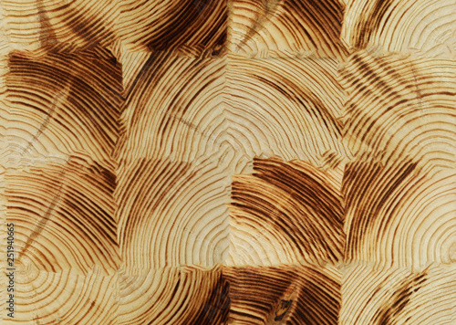 texture of a cross-section of a pine tree close-up, cross-section of annual rings