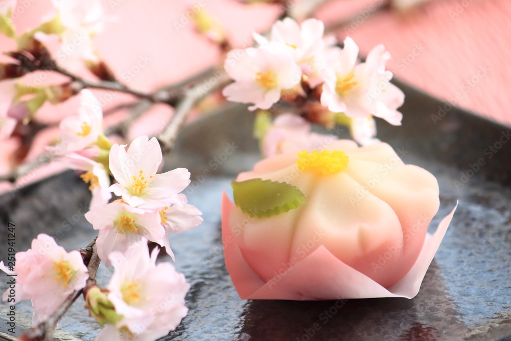 Cherry Flower Shape Japanese Traditional Sweets Made From Beans And Cherry Blossoms Japanese Sweets Japanese Spring Sweets 桜練り切りとサクラで花見 和菓子 日本のお菓子 Stock Photo Adobe Stock Cherry Flower Shape Japanese Traditional Sweets Made From Beans And Cherry Blossoms Japanese Sweets Japanese Spring Sweets 桜練り切りとサクラで花見 和菓子 日本のお菓子 Stock Photo Adobe Stock