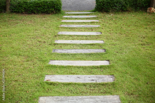 concrete pathway pavement step on green grass front yard garden