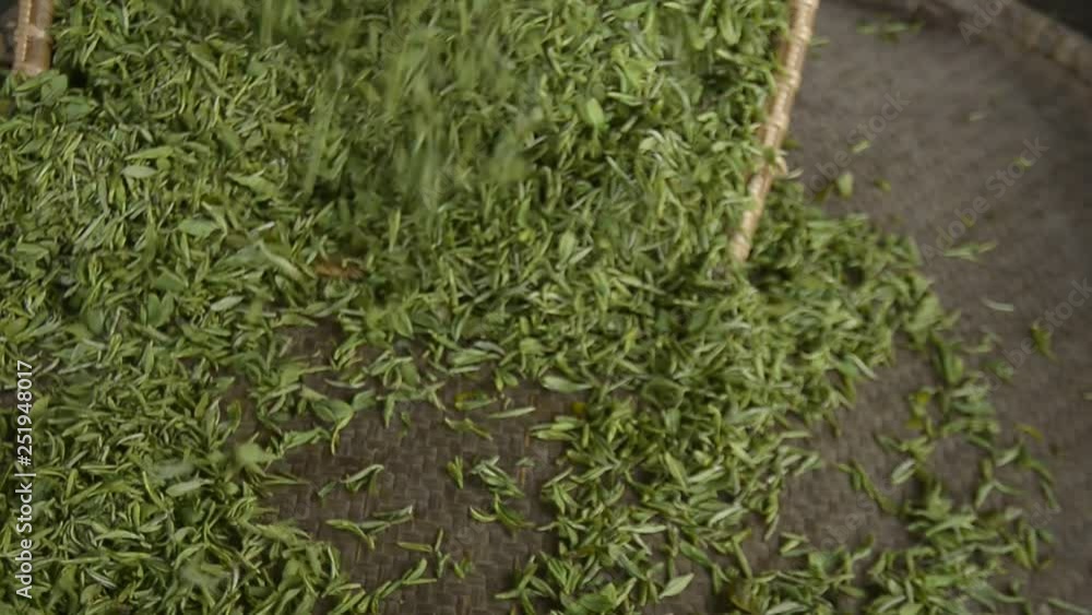 Tea making process Tea making process