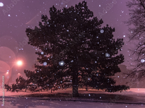 Mystical Snowy Winter Night © PixelView.Media