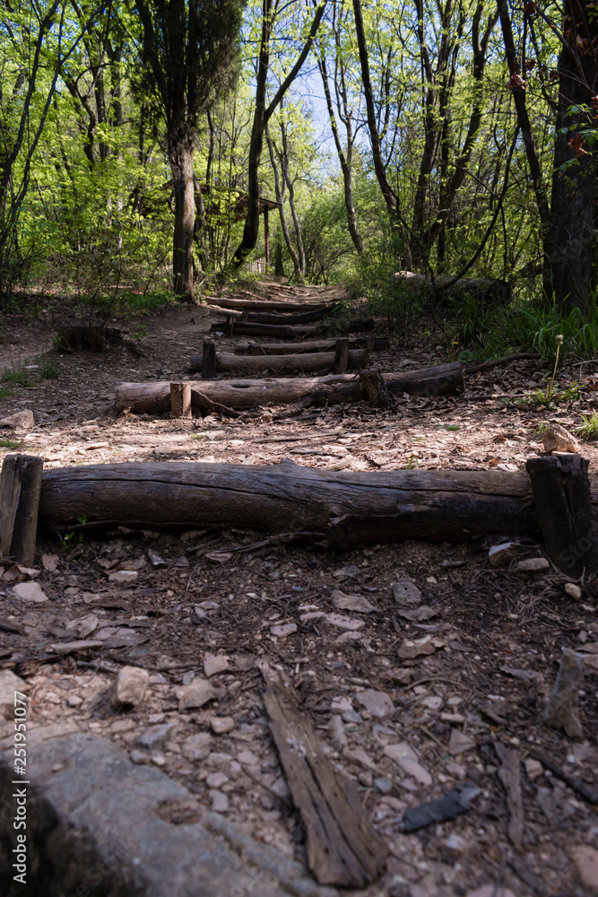 A small path in the park between the tall trees. A small path in the park between the tall trees.