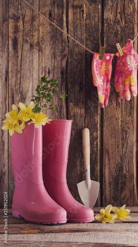 rubber boots and spring flowers on wooden background