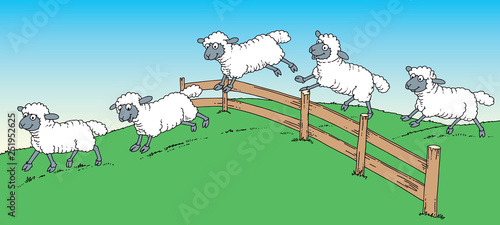 sheep over fence