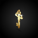 luxury golden key vector illustration