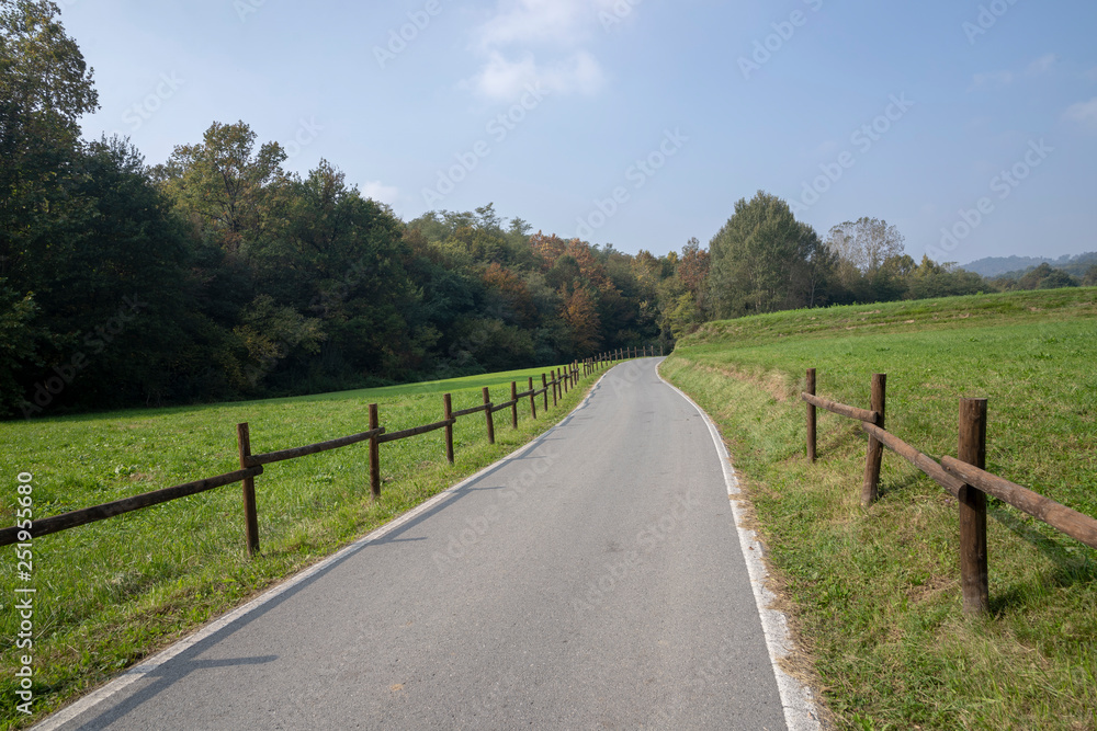 Landscape in the Park of Curone at fall