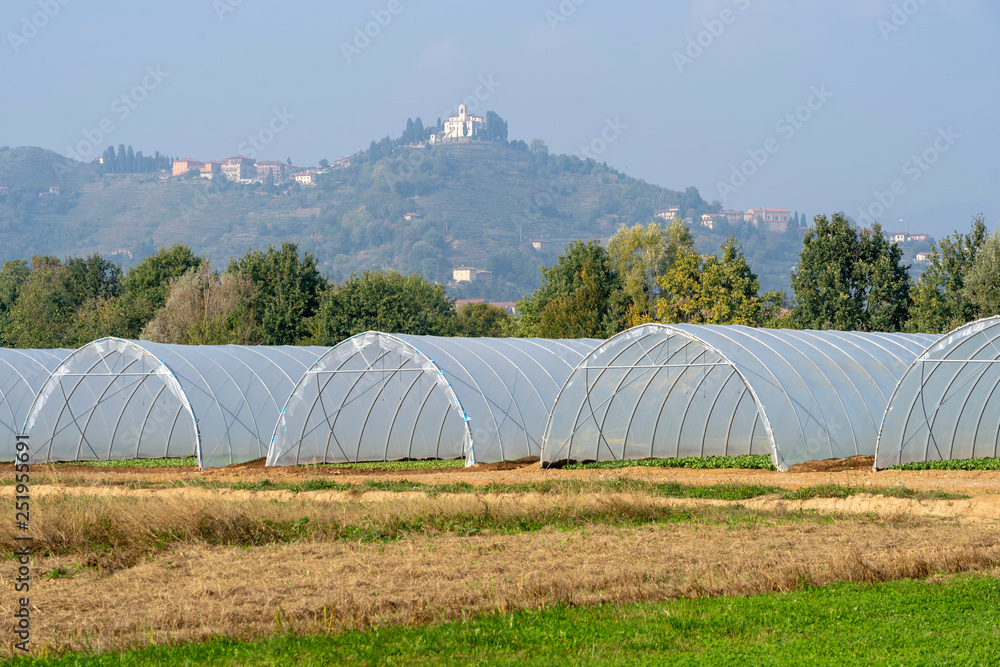 Landscape in the Park of Curone at fall