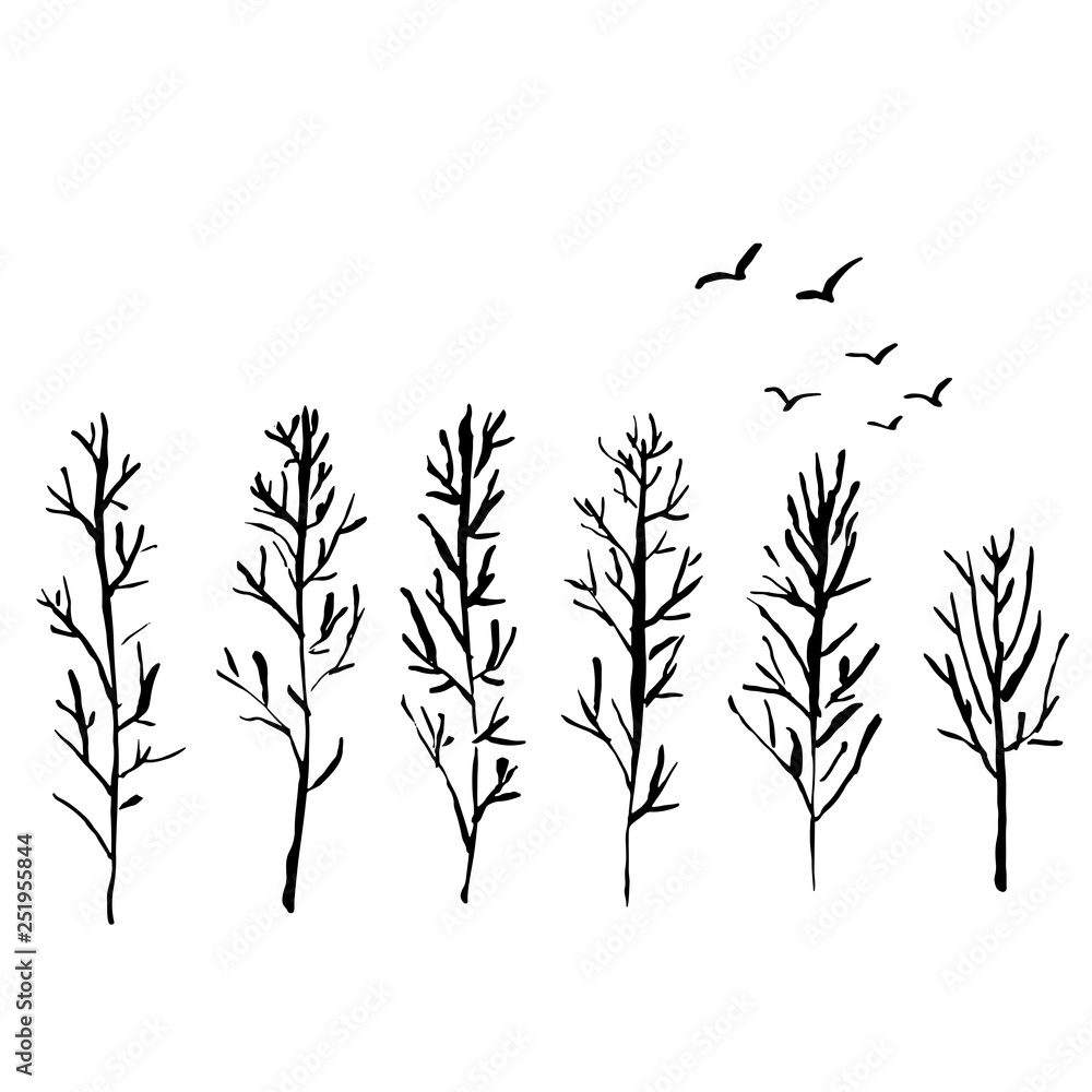 Fototapeta premium Naked trees silhouettes with flock of birds. Hand drawn set. Vector illustration.
