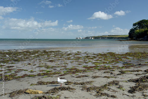 South beach on Studland Bay near Swanage on Dorset coast