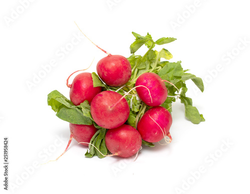 Radish red bunch greens on a white background.