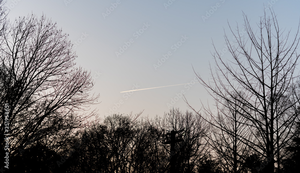 Obraz premium 飛行機雲