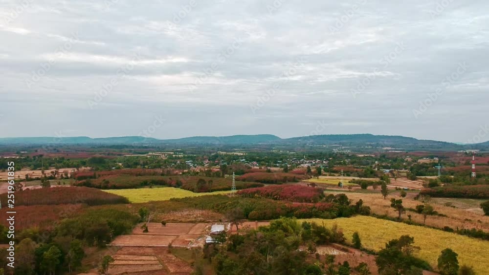 Aerial view of rubber trees in rural villages.country side view. Aerial view of rubber trees in rural villages.country side view.