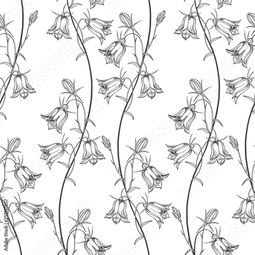 Seamless vector pattern with flowers bluebells. Black and white nature background.