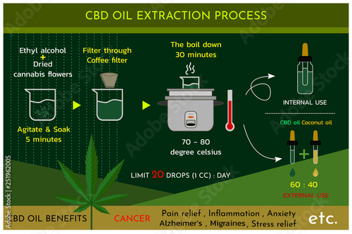 Cannabis oil (CBD oil) extraction process