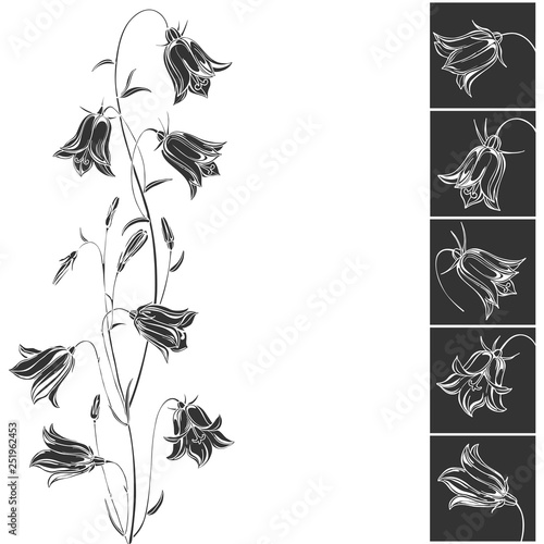 Floral vector background with flowers bluebells and place for text. Invitation, greeting card or an element for your design. Vertical composition.