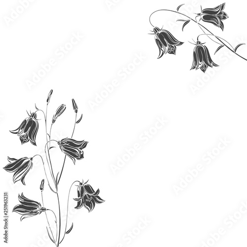 Floral vector frame with flowers bluebells and place for text on a white background. Invitation, greeting card or an element for your design.