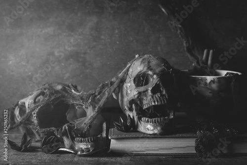 Old skull with chain in jail from horror still life photography 