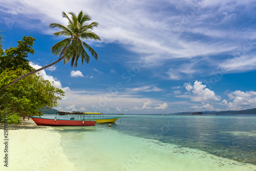 Two color local boats on island coast, tropical beach with coconut palm, white sand and turquoise water
