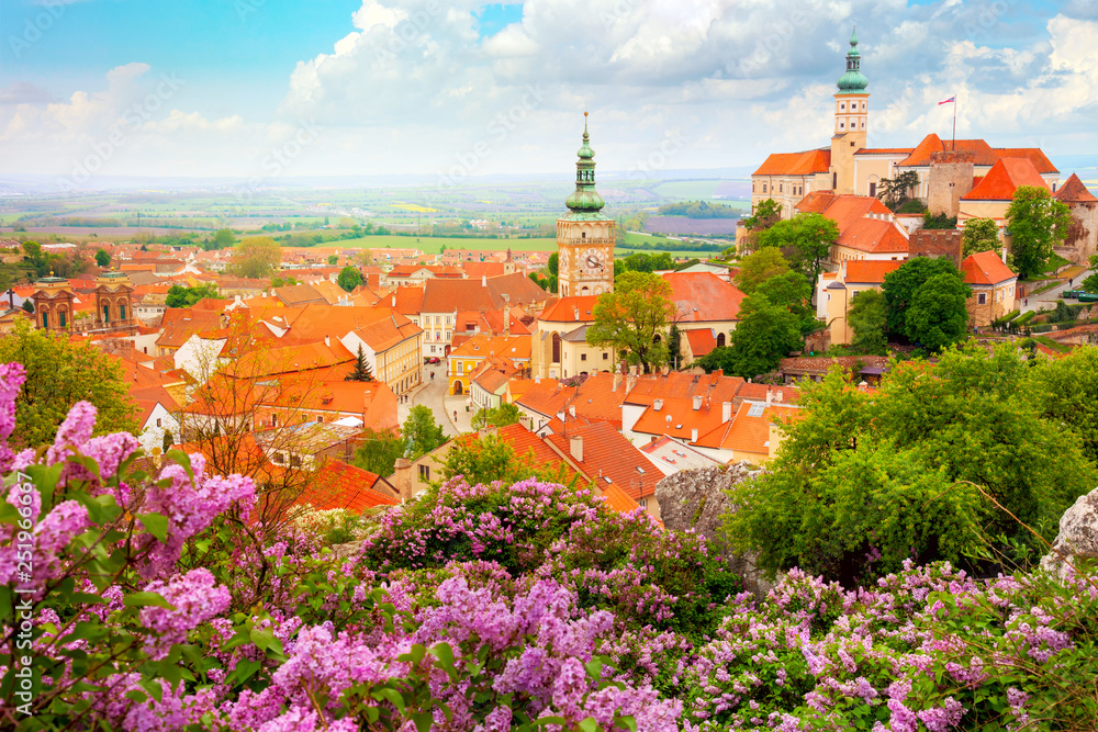 Obraz premium Old Historic European Town with castle, clock and flowers